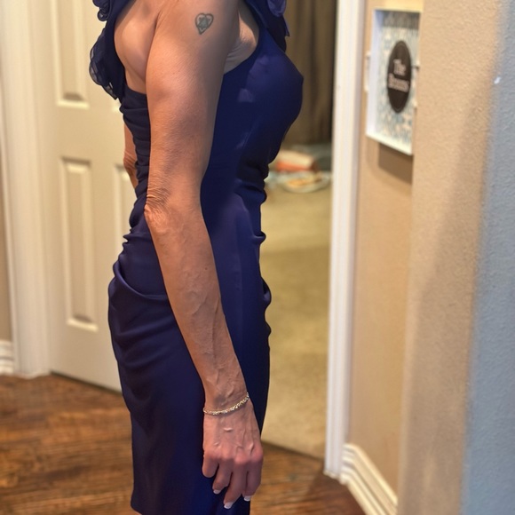 Catherine Malandrino - Gorgeous Purple Dress - Size 2 - Worn Once - Picture 2 of 5